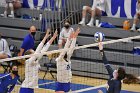 Volleyball vs RWU  Wheaton Women’s Volleyball vs Roger Williams University. : Volleyball, VB